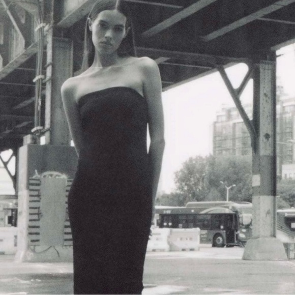 Zara Dresses & Skirts - Zara Tube Maxi Dress